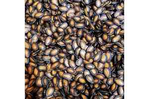 知味涼果黑瓜子礦物油含量超標 食安中心籲停止食用