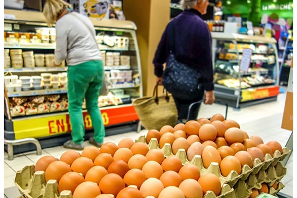 全球雞蛋價格飆升 美國漲49%