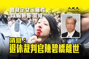 傳退休裁判官陳碧橋離世 曾裁定女示威者「以胸襲警」罪成