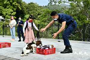 饒宗頤文化館舉辦寵物嘉年華 紀律部隊工作犬作訓練示範