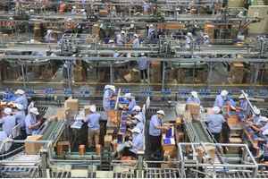 疫情重創中國經濟 製造業服務業跌至三年最低