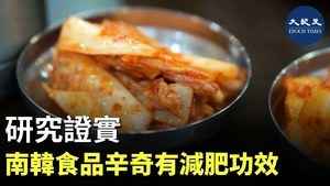 研究證實 南韓食品辛奇有減肥功效