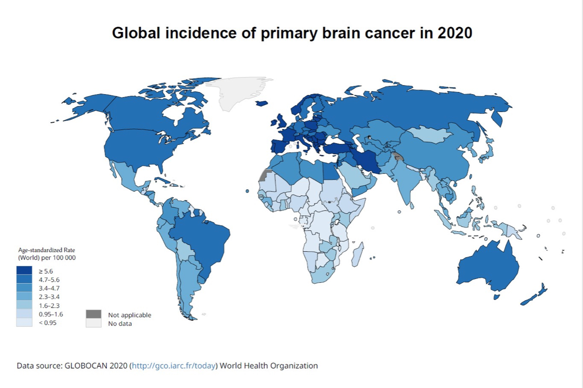 中大研究發現，「原發性腦癌」的發病率與GDP、手提電話使用率等有關。圖為2020年「原發性腦癌」的全球發病率分布。（中大圖片）