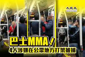 巴士MMA︱4人涉嫌在公眾地方打架被捕
