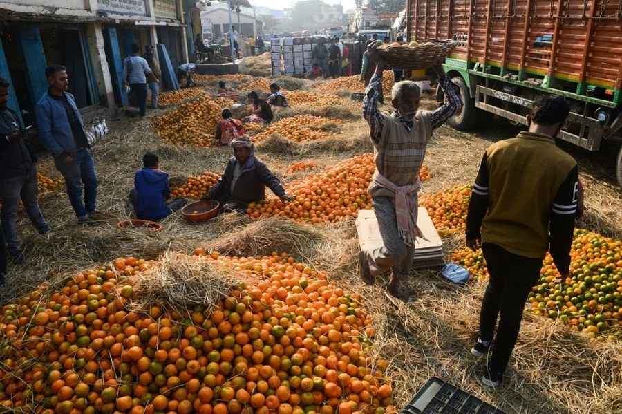 【印度經濟】12月批發物價通脹收窄至5.0% 低於預期、食品價倒跌（附走勢圖）