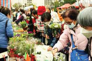 維園年宵市場昨開鑼