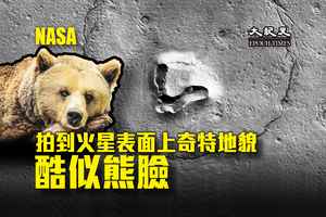 NASA拍到火星表面上奇特地貌 酷似熊臉