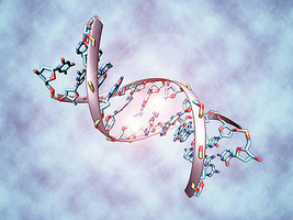 生長環境和文化差異刻在人體DNA中