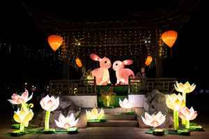 元宵綵燈展今起於北區公園和荃灣公園舉行