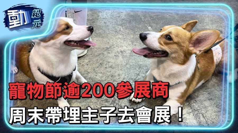 【動紀元】香港寵物節2023｜逾200參展商 周末帶埋主子去會展！