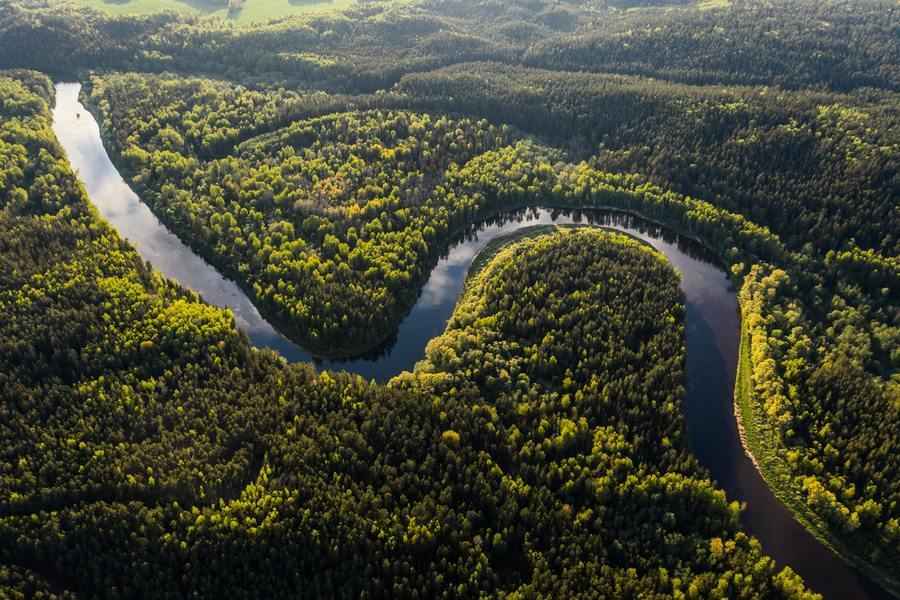 世界10大最美森林之美洲篇