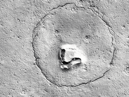 NASA在火星上發現奇特岩石  酷似熊臉