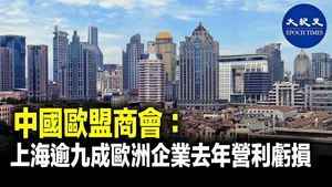 中國歐盟商會：上海逾九成歐洲企業去年營利虧損