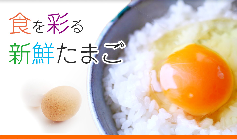 港人去年食4億隻日本雞蛋 佔日本出口量92%