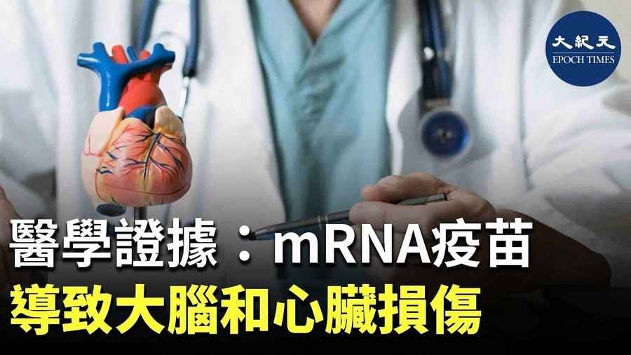 醫學證據：mRNA疫苗 導致大腦和心臟損傷