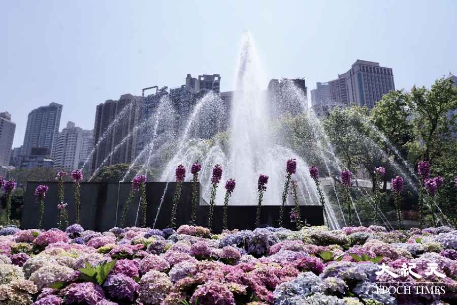 【圖輯】鮮花盛開 春意盎然
