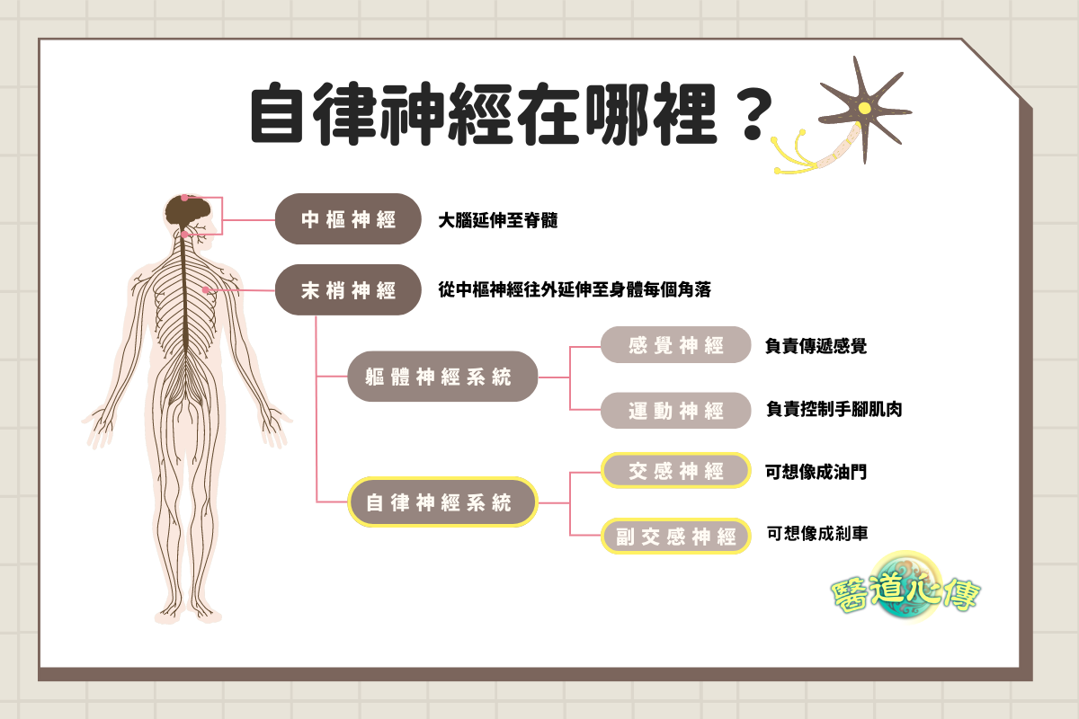 【醫道心傳】自律神經失調治療指南系列（一）13項自我檢測 看你自律神經失調了嗎？｜大紀元時報 香港｜獨立敢言的良心媒體