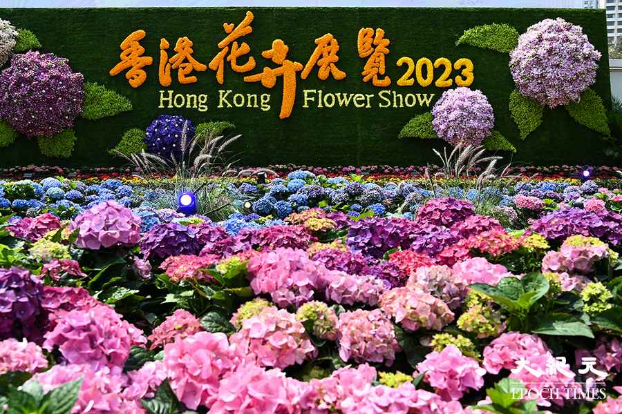 香港花卉展明揭幕 繡球花做主題花