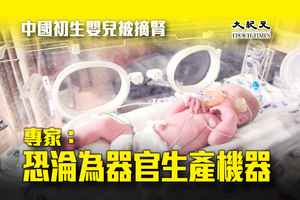 中國初生嬰兒被摘腎 專家：恐淪為器官生產機器