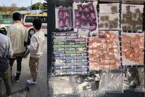 42歲男藏2千克大麻 涉販運危險藥物被捕