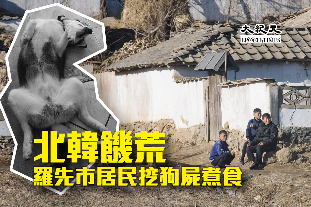 北韓饑荒持續，羅先市出現居民挖寵物狗屍體煮食的事件。(大紀元製圖)