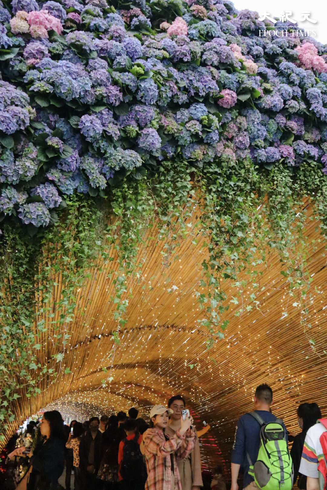 豔麗的繡球花束隧道，是個打卡的好去處。（樂樂／大紀元）