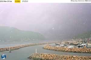 天文台：市民報告西灣河落雹
