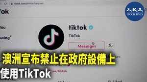 澳洲宣布禁止在政府設備上 使用TikTok