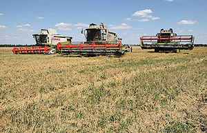 波蘭匈牙利禁烏克蘭穀物  歐盟警告勿單方行動