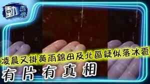 【動紀元】凌晨又掛黃雨 錦田及北區疑似落冰雹 有片有真相