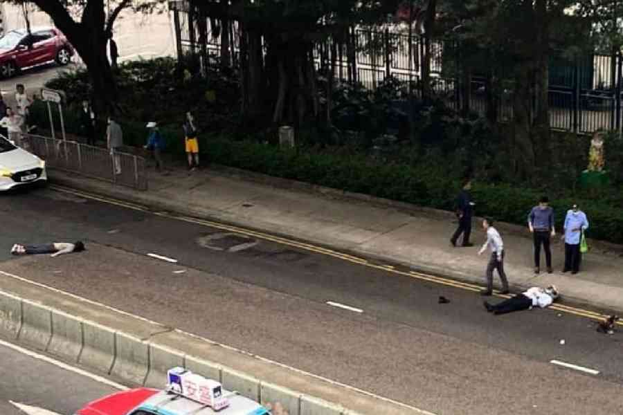 狗狗西環突然衝出馬路 女主人追出被電單車撞至昏迷