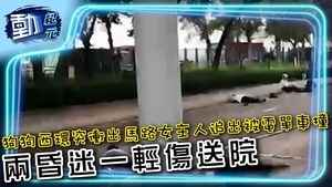 【動紀元】交通意外∣狗狗西環突衝出馬路 女主人追出被電單車撞 兩昏迷一輕傷送院