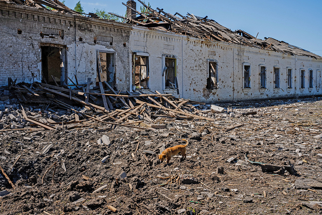 周二（5月16日），歐洲領導人在冰島舉行峰會，討論如何向俄羅斯索賠。圖為5月7日，扎波羅熱地區的奧里科夫鎮發生空襲後，一隻狗在被摧毀的建築物殘骸上漫步。 (DIMITAR DILKOFF/AFP via Getty Images)