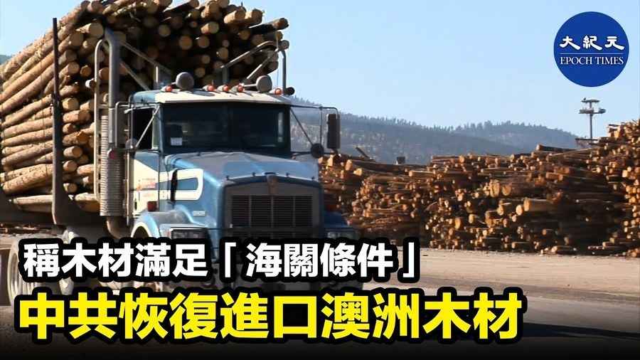 中國恢復進口澳洲木材