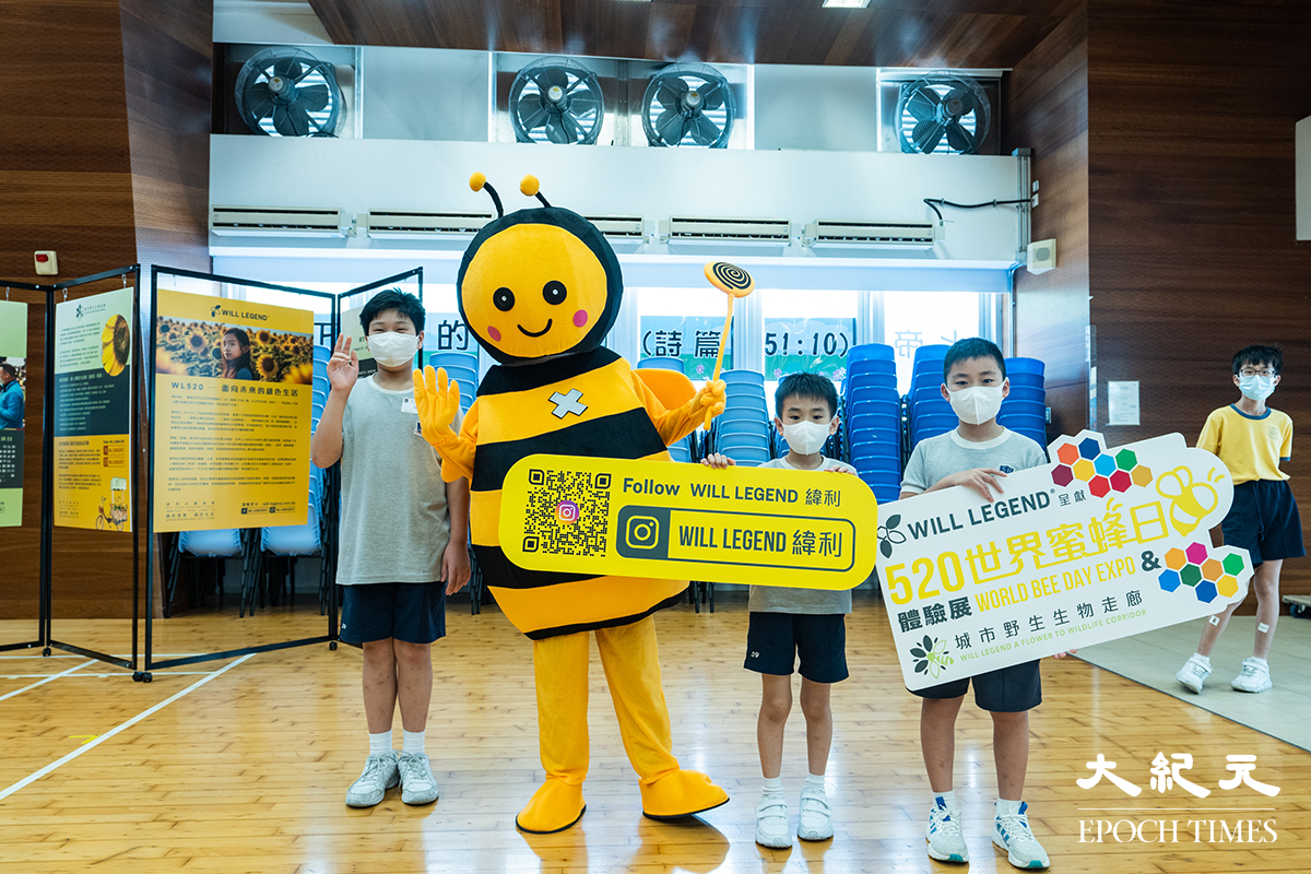 5月20日為「世界蜜蜂日」，綠色企業緯利（Will Legend）主辦的「520世界蜜蜂日體驗展」於深水埗聖公會聖安德烈小學舉行。（劉駿軒／大紀元）