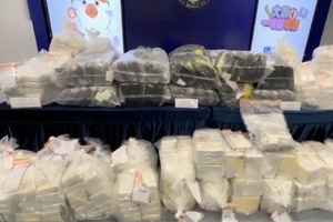 警破6毒品儲存倉檢6.5億元毒品 今年最大宗可卡因及大麻花案件