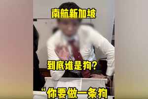 大陸乘客投訴遭中國南航人員罵是狗 稱因說中文被不公平對待
