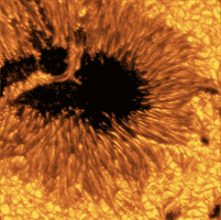 美拍攝最新太陽圖片 利用AI預警太陽風暴