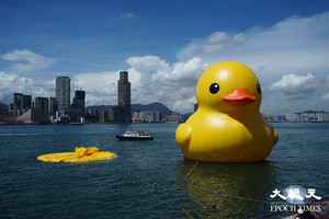 【有片】黃鴨展出首日其中一隻疑「漏氣」 網民：香港個種熱連鴨仔都頂唔順（更新主辦方回應）