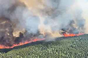 專家：森林管理不善 導致加拿大野火肆虐