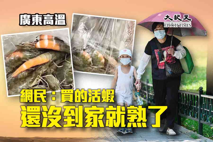 廣東高溫 網民：買的活蝦還沒到家就熟了