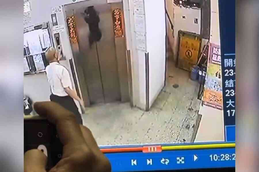 【有片】主人入𨋢唔記得咗狗狗 史納莎被勒頸吊起幾乎冇命