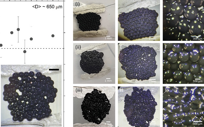 科學動態：利用「食材」打造人體健康監測儀