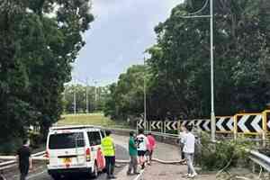 泰利襲港｜有線採訪車途經青衣北岸公路 遭塌下大樹壓毀