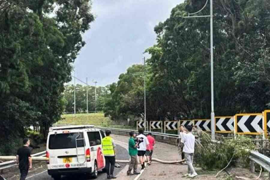 泰利襲港｜有線採訪車途經青衣北岸公路 遭塌下大樹壓毀