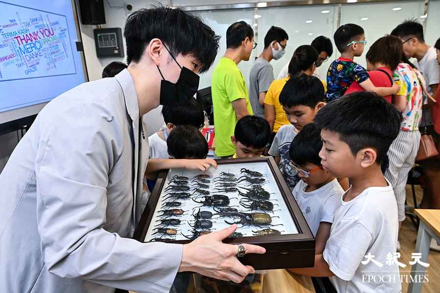 STEM教育親子活動 學生接觸甲蟲