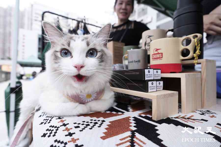 青年創業市集 今明南豐紗廠舉行