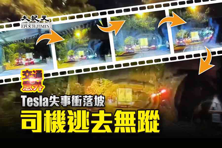 【有片】Tesla失事衝落坡 司機逃去無蹤