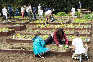 美國第一夫人宣佈繼續經營白宮菜園