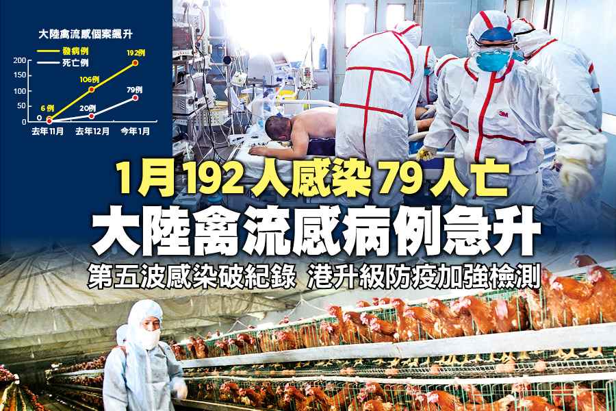 1月192人感染79人亡 大陸禽流感病例急升